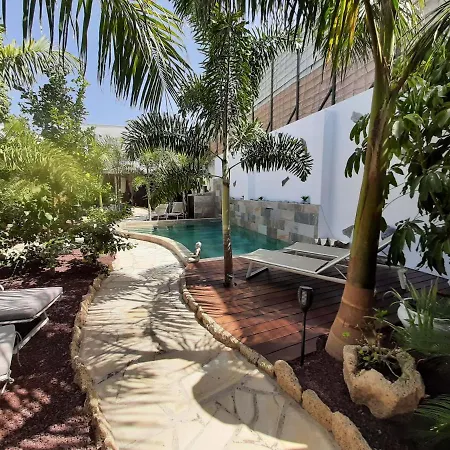 Guest house Finca La Barca El Medano (Tenerife)