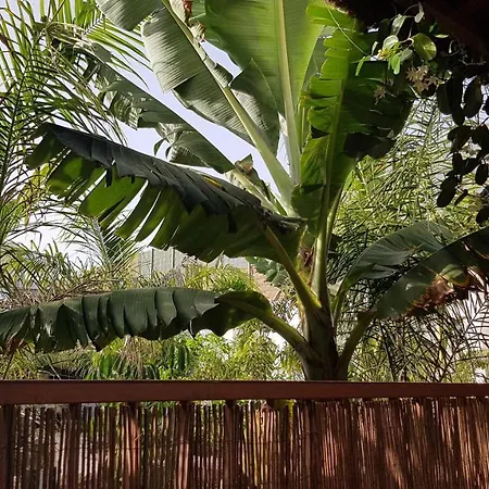 Finca La Barca Guest house