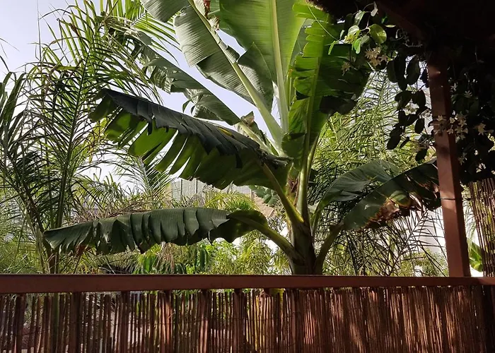 Finca La Barca Casa de hóspedes