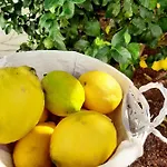 Finca La Barca Πανσιόν 3*