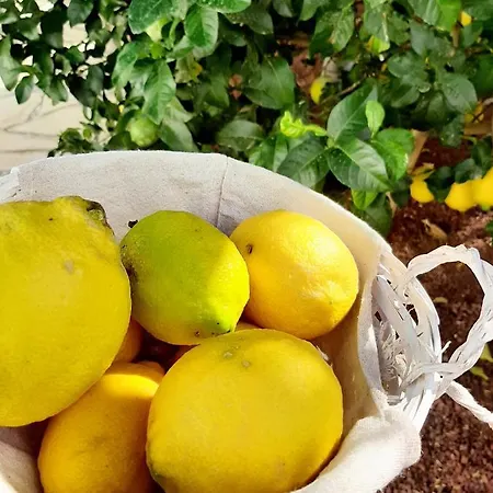 Finca La Barca Pensjonat *